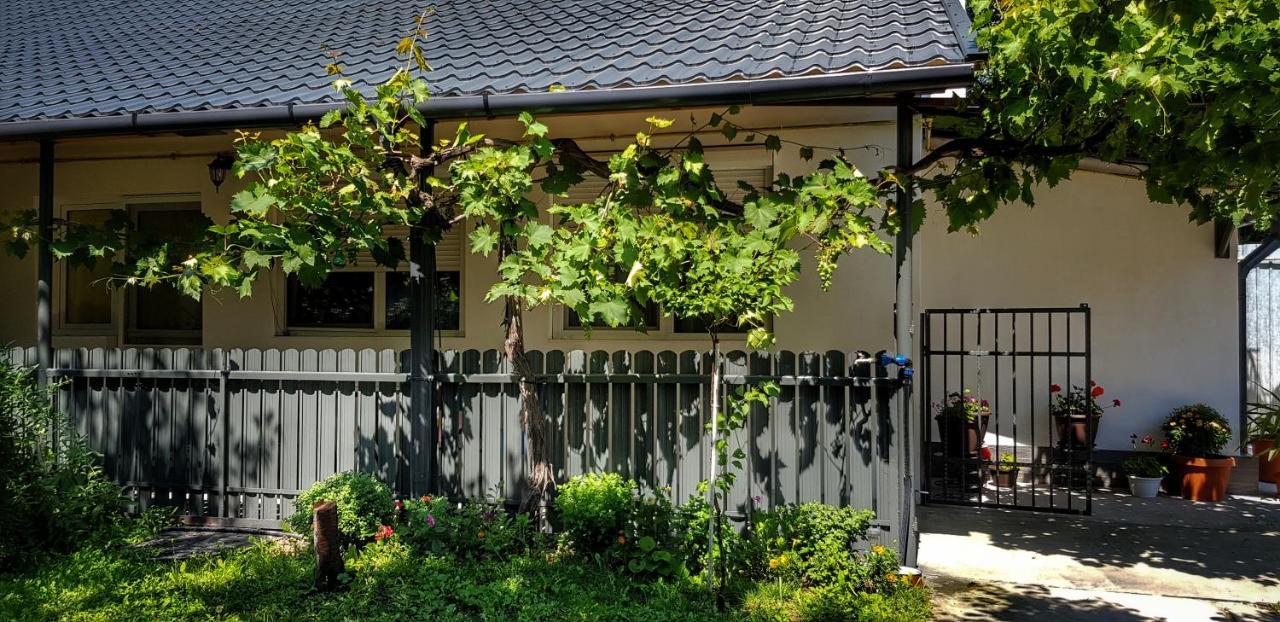 Apartament Mateas Apartament Oradea Zewnętrze zdjęcie